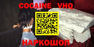 гашик Кингисепп