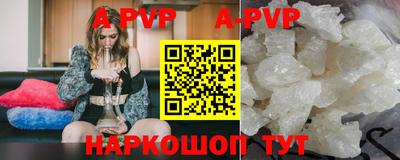 гашик Кингисепп