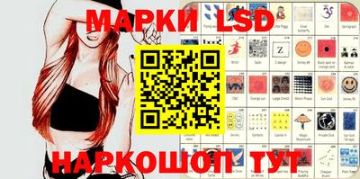 гашик Кингисепп
