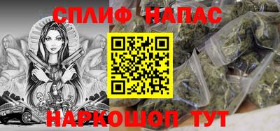 гашик Кингисепп