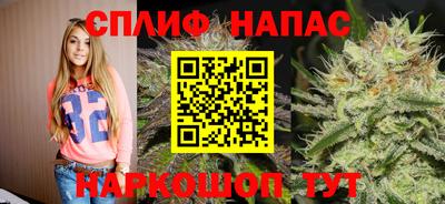 шишки Кинель