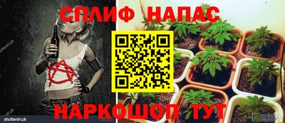 тгк Кимры