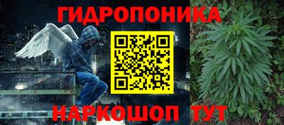 тгк Кимры