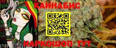 гашик Кингисепп