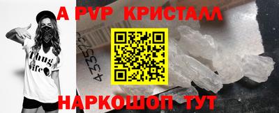 гашик Кингисепп