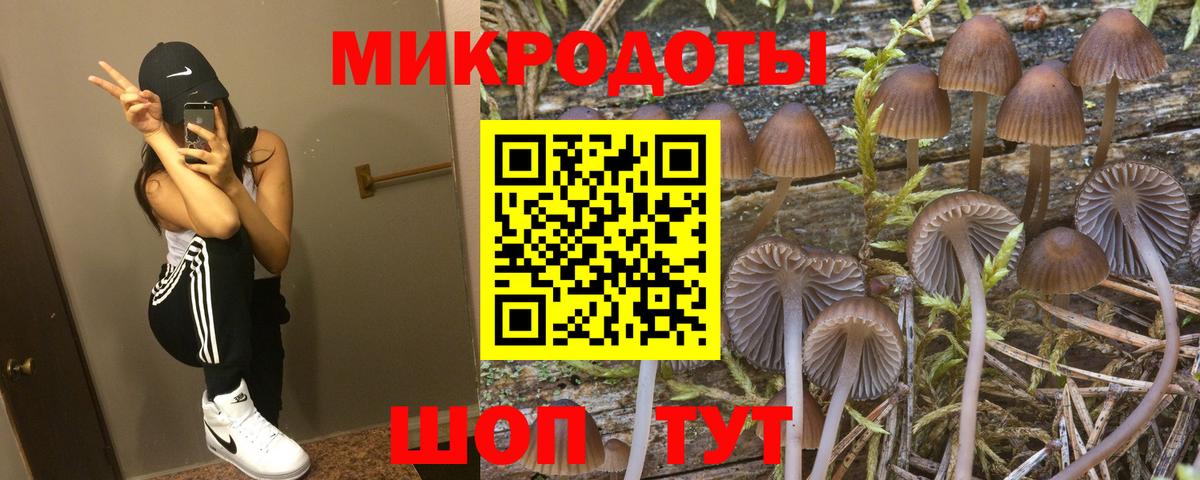 Псилоцибиновые грибы GOLDEN TEACHER Кудымкар